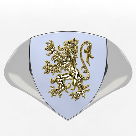 Chevalière Blason Lion Héraldique pour Homme