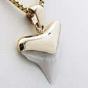 Collier Pendentif Dent De Requin Naturel Avec Cordon Cuir - Bijou Unisexe Style Exotique, Pour Hommes Et Femmes - 11