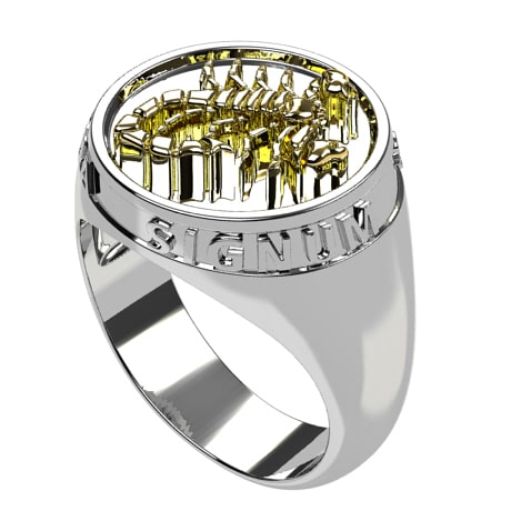 Argent 925 et Or jaune 18 carats - Sans Pierre