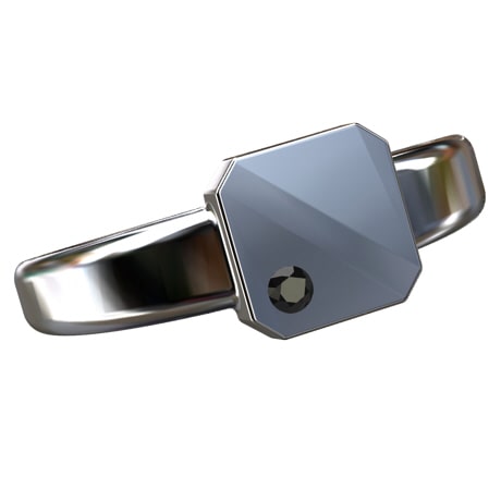 Chevaliere en Platine pour Homme