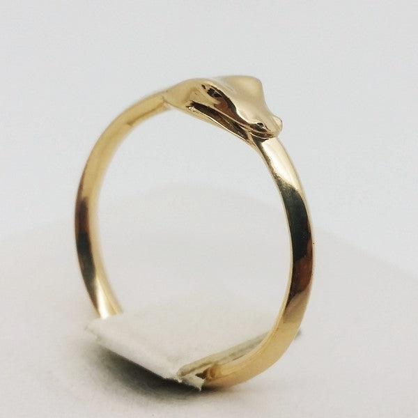 Bague Ouroboros Symbole de l'Infini