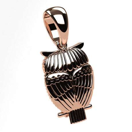 Pendentif Chouette en Or